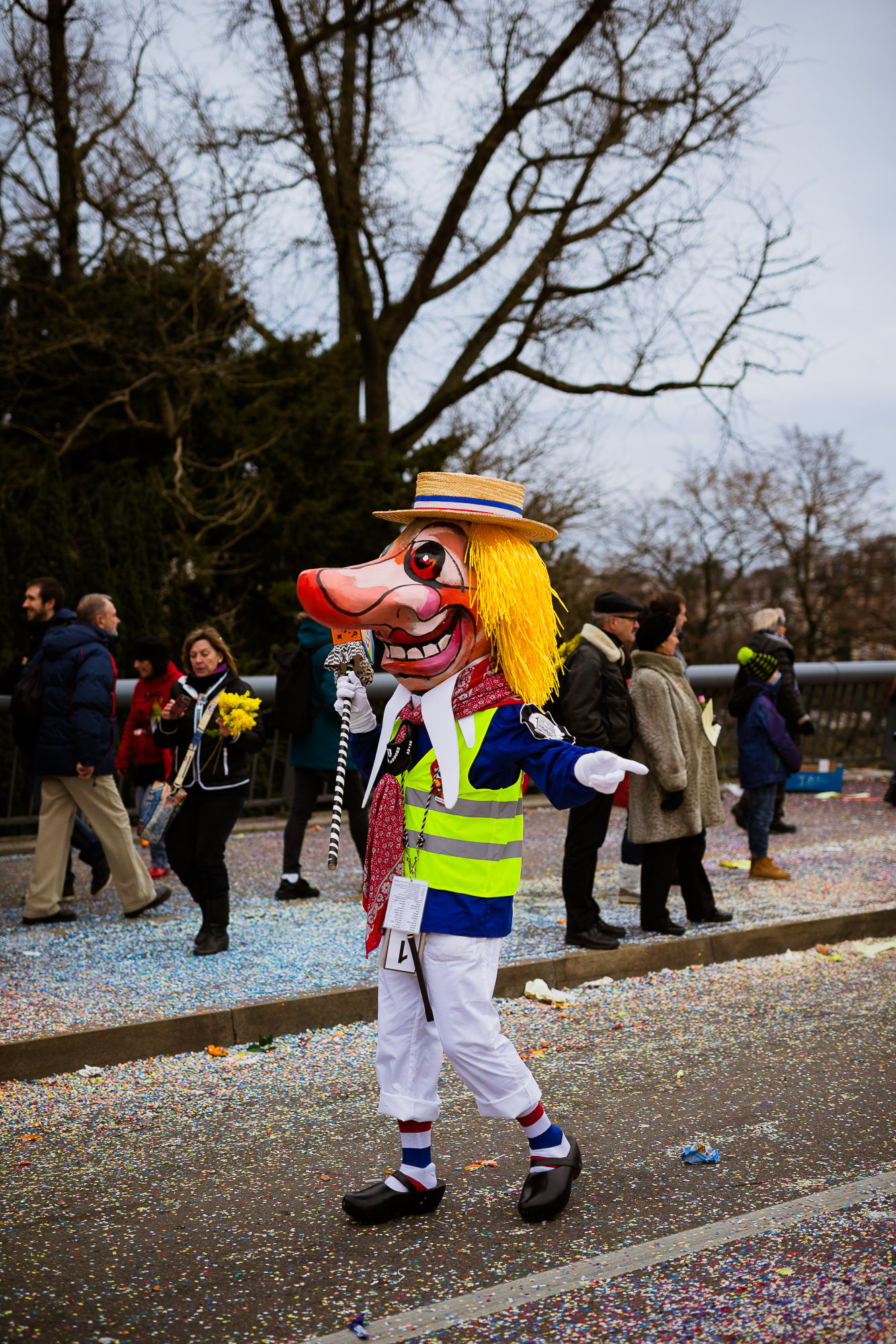 Export x3 1DX 7243 Basler Fasnacht 2016